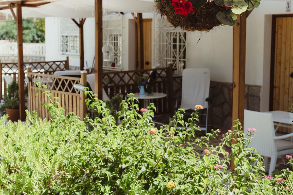 Apartamentos Casa Torres - Adults Only El Albir ภายนอก รูปภาพ